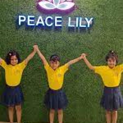 Peace Lily Pre School & Day Care